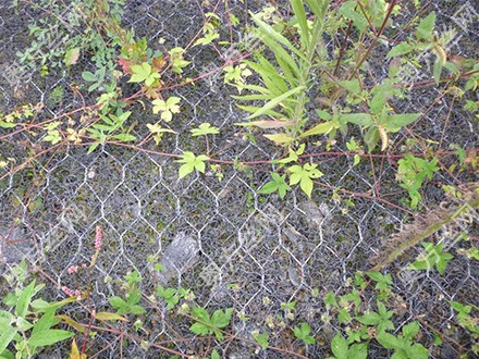 �ӵ��ӽ����ˉ|