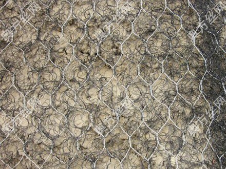 ���������(ch��ng)�ӽ����ˉ|