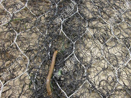 �ӵ��ӽ����ˉ|