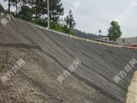 ·���ӽ����ˉ|